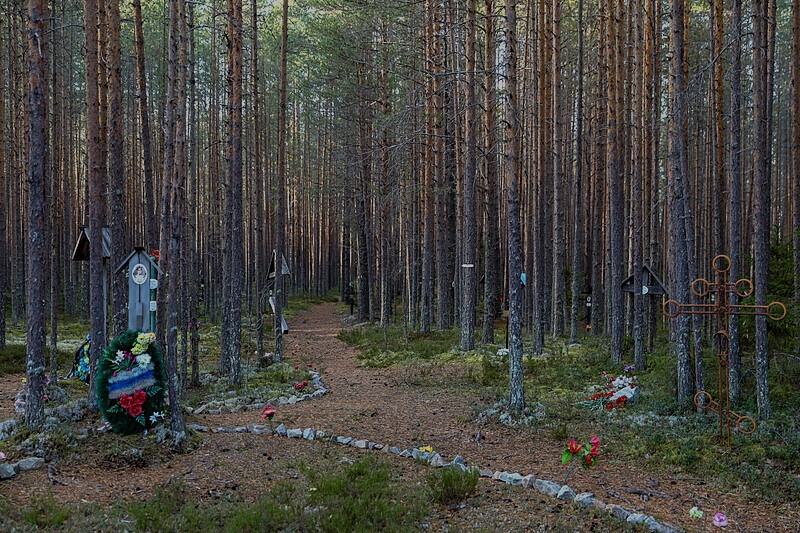 Il bosco di Sandormoch in Carelia, Russia